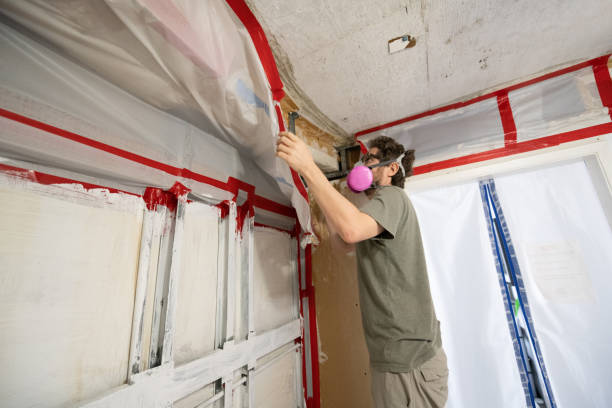 Best Emergency Mold Remediation  in Long Hill, CT