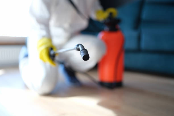 Best Asbestos and Lead Testing During Mold Inspection  in Long Hill, CT