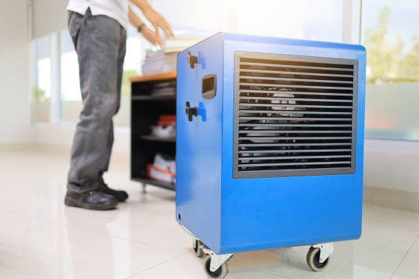 Best Environmental Consulting for Mold Prevention  in Long Hill, CT