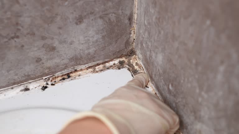 Best Post-Remediation Verification Testing  in Long Hill, CT